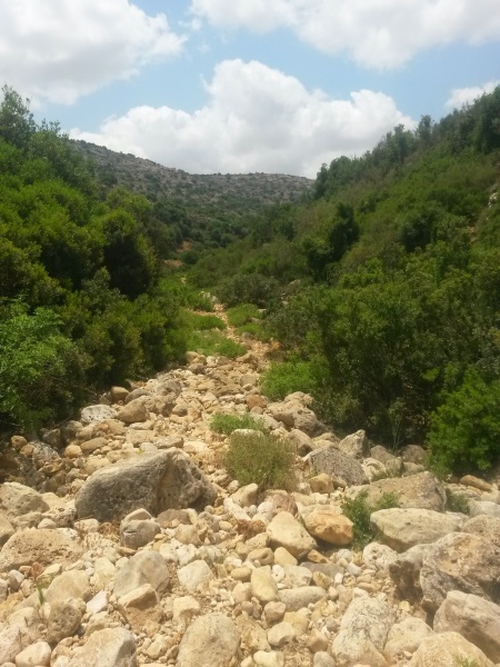 קובץ:ערוץ קנה.jpg