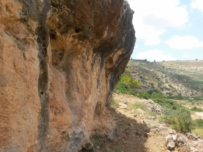 קובץ:צניר.jpg