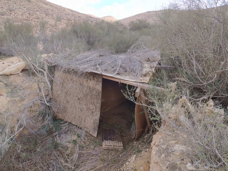 קובץ:צרףיבשרותרסס.jpg