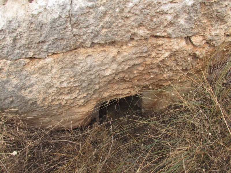 קובץ:קבורהחמים.JPG