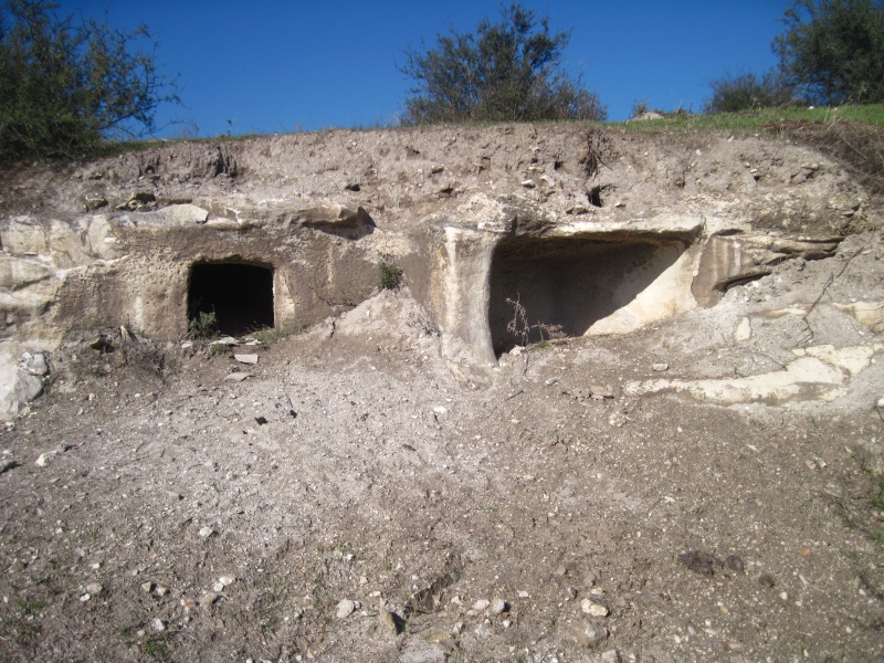 קובץ:קבריצברין.JPG