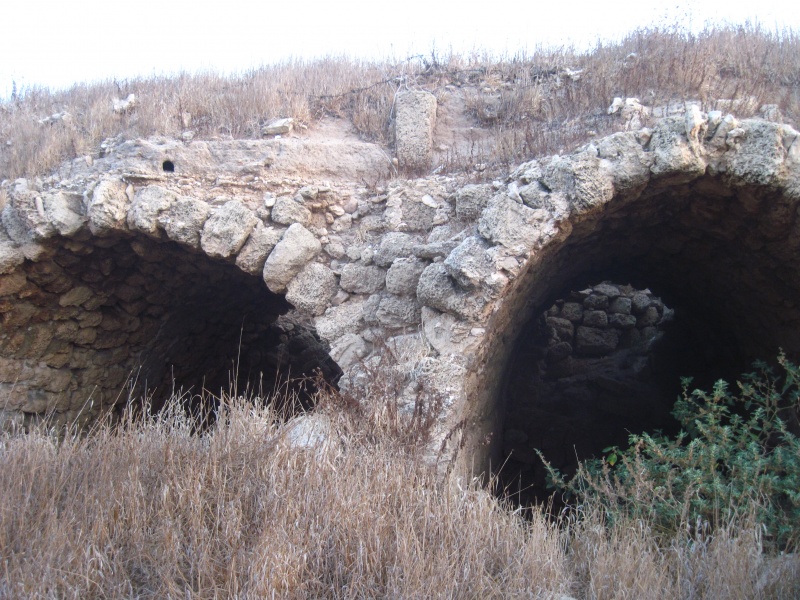 קובץ:קמרונותצרפנד.JPG