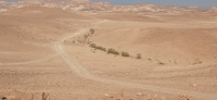 רותם שולט ערוץ-2 30.11.24קרטון חר.סמרא ערוגות ש-3.jpg