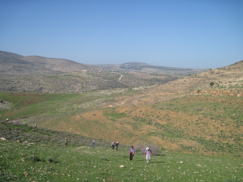 קובץ:רסארמלי.JPG