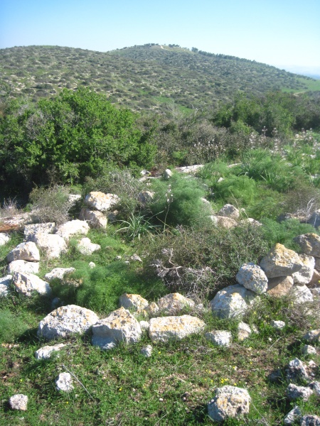 קובץ:רסםמגריחי.JPG