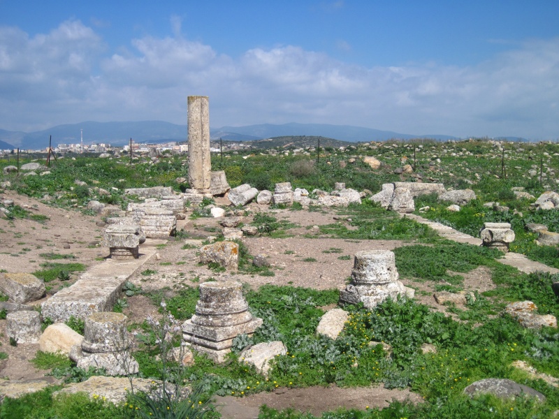 קובץ:שדהעמודים.JPG