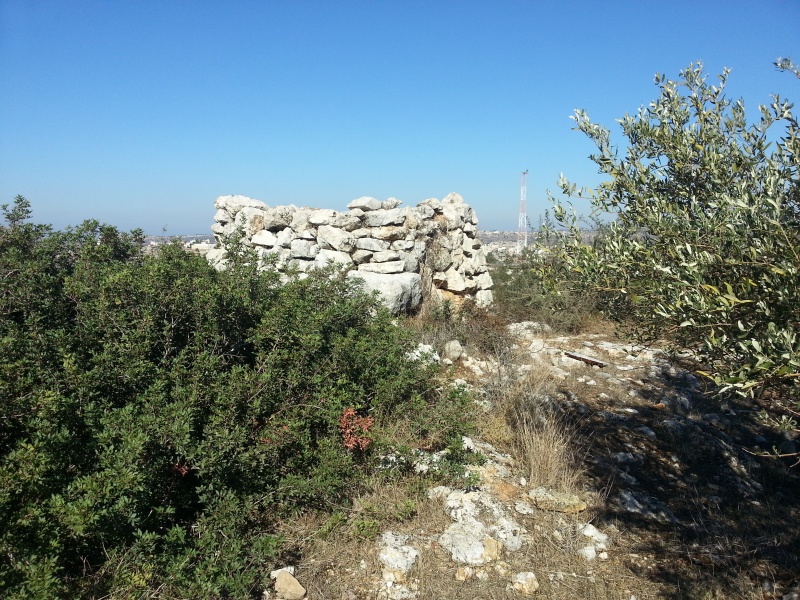 קובץ:שומרה עץ אפרים.jpg