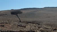 שיטה סלילנית 6.1.22 1-ק-מ דר.מז.רוגום-א-נקה ש-30.jpeg