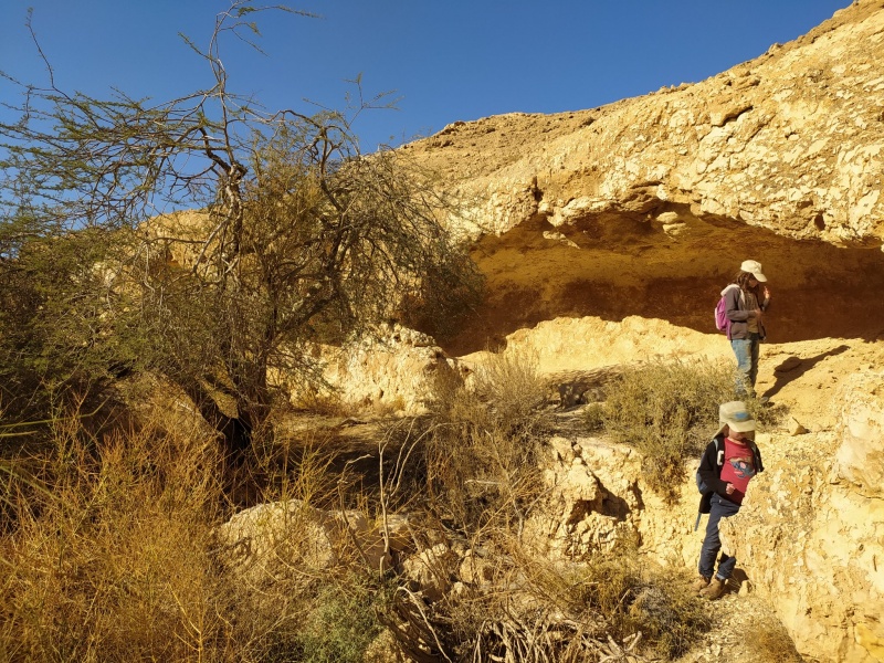 קובץ:שיטתכוךמכת.jpg