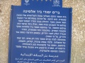 תמונה ממוזערת לגרסה מתאריך 12:15, 18 בספטמבר 2012