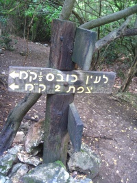 שלטעיןכובס.JPG