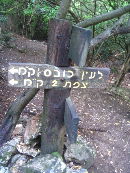 קובץ:שלטעיןכובס.JPG