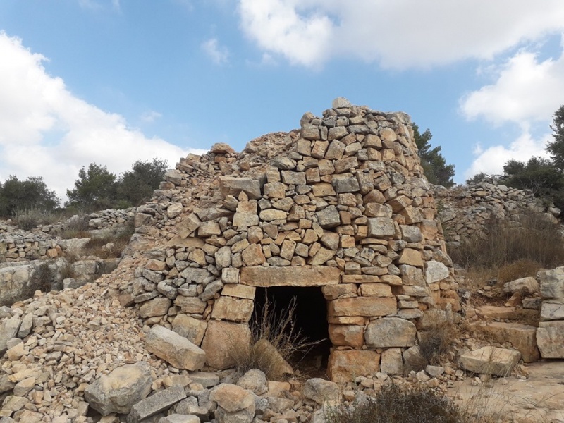 קובץ:שמרהטלמון.jpg