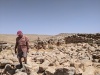 שער מצודת צנע 16.6.23 כלא-נפחה ש-2.jpg