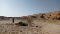 שקע מל.קשקשנית דרך-המוצב 3 23.1.23 הר-סדום-2.jpeg