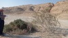 שקע מל.קשקשנית דרך-המוצב 3 23.1.23 הר-סדום-3.jpeg