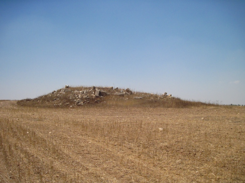 קובץ:שרידימבנהשקמה.JPG