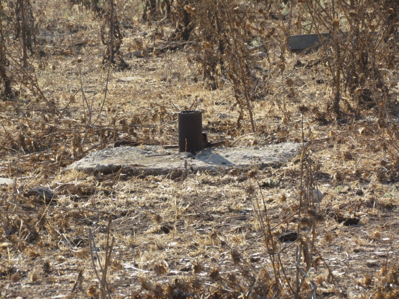 קובץ:שרידי מכלאת בקר ליד בור מים.JPG