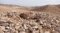 תומולי מעל פיתול ערוגות 4.12.21 ש-33.jpeg