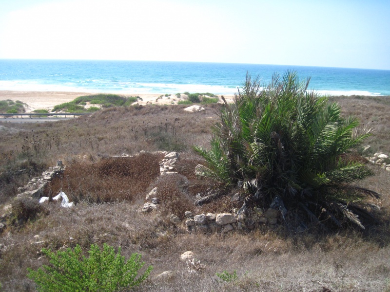 קובץ:תלסחרמגדים.JPG