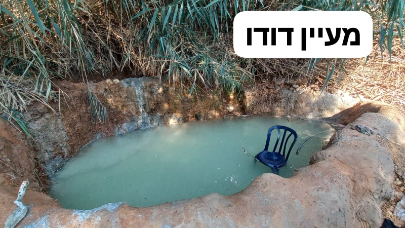 קובץ:תמונה של WhatsApp 2025-08-21 בשעה 02.36.43 0ef69d67.jpg
