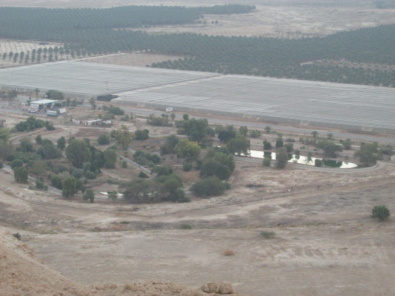 קובץ:תניניבקעה.JPG