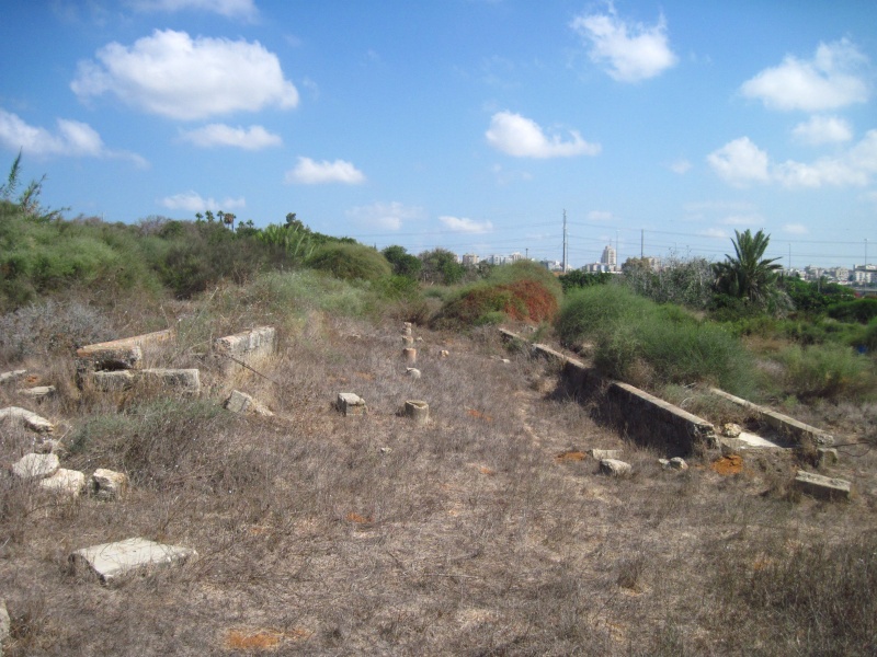 קובץ:תעלותועמודיםראשלצ.JPG