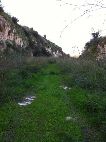 קובץ:תעלת נט בסמוך לסכר.jpg