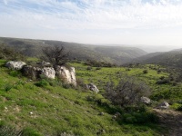 תצפית על נחל מיצר.jpg