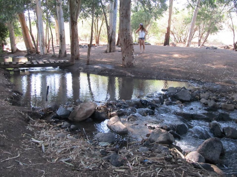 קובץ:10392300 626013167496036 6545741144871052716 n.jpg