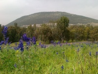 12032012549 - מבט מתל קישיון להר תבור-שמואל פישר.jpg
