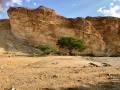 תמונה ממוזערת לגרסה מתאריך 14:35, 14 בנובמבר 2018