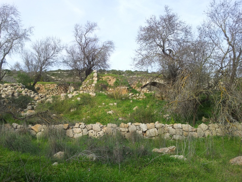 קובץ:20105.01.24-163203.051.android.jpg