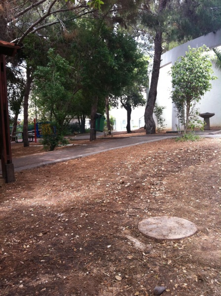 קובץ:2011.04.29-140720.85.iphone.jpg