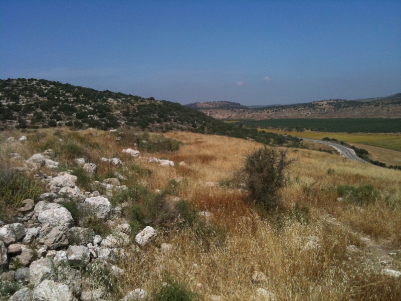 קובץ:2011.05.24-110340.895.iphone.jpg