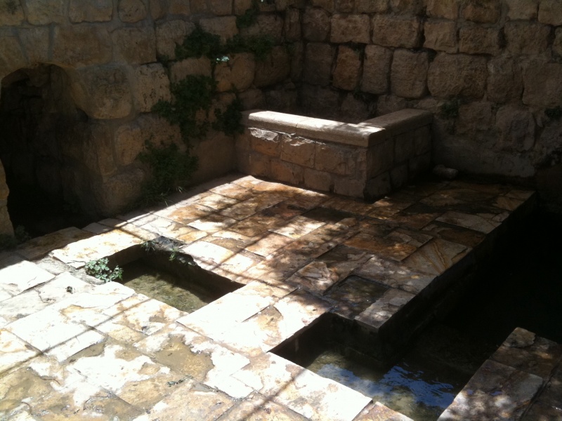 קובץ:2011.06.7-121729.277.iphone.jpg