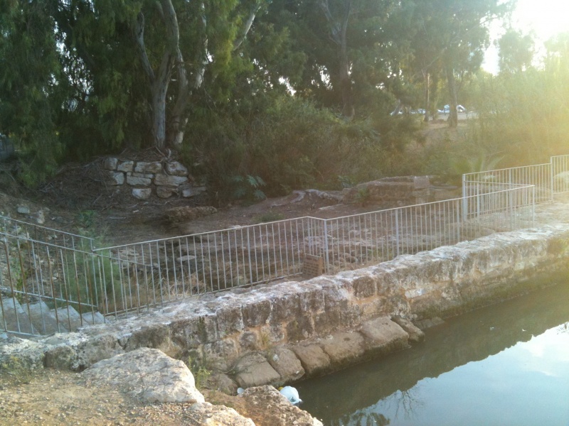 קובץ:2011.09.10-182217.279.iphone.jpg