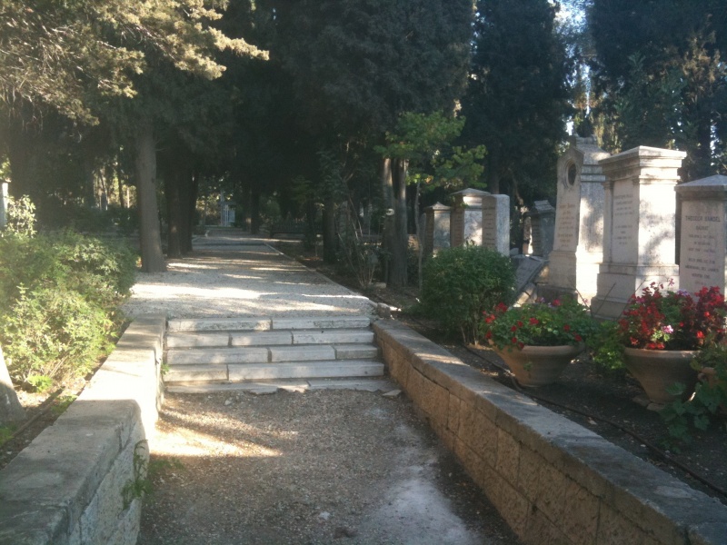 קובץ:2011.09.8-172108.339.iphone.jpg