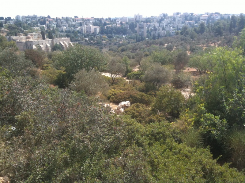 קובץ:2011.10.17-114234.444.iphone.jpg