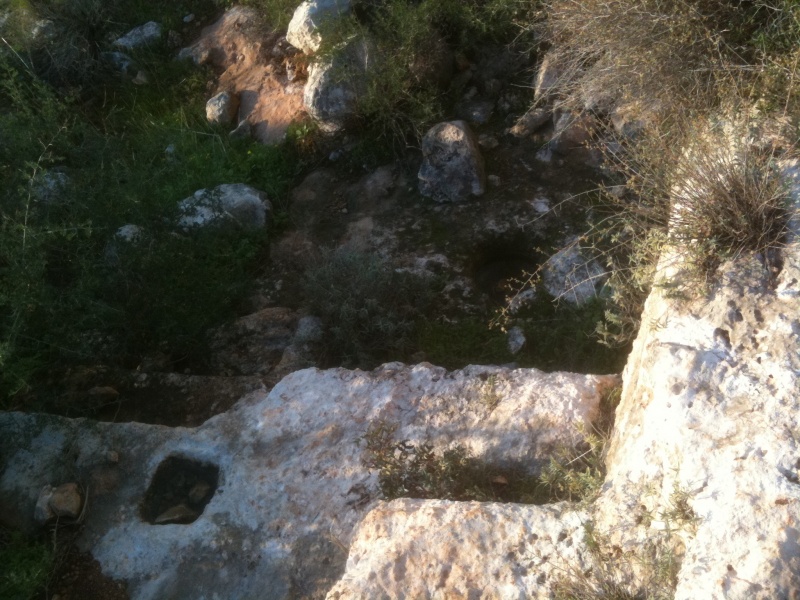 קובץ:2012.01.19-162222.743.iphone.jpg