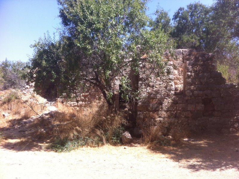 קובץ:2012.07.28-102145.993.iphone.jpg