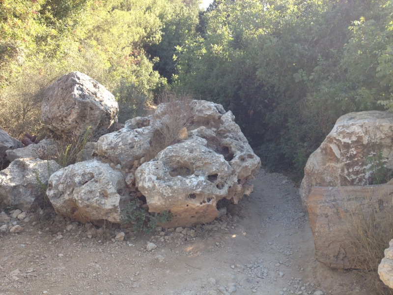 קובץ:2012.09.25-154155.883.iphone.jpg