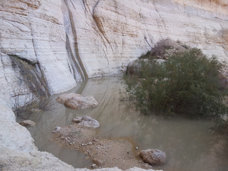 קובץ:20120203 131020.jpg