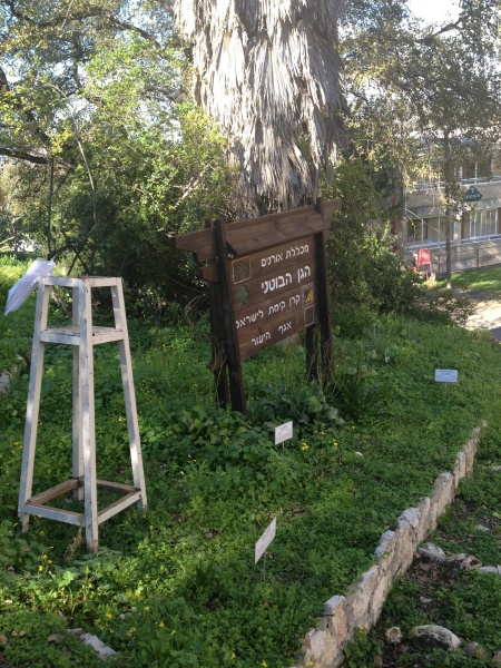 קובץ:2013.02.20-142134.528.iphone.jpg