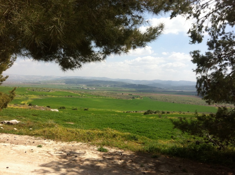 קובץ:2013.03.10-112459.813.iphone.jpg