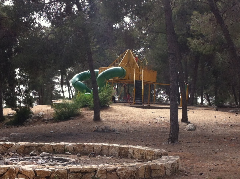 קובץ:2013.03.26-141545.695.iphone.jpg