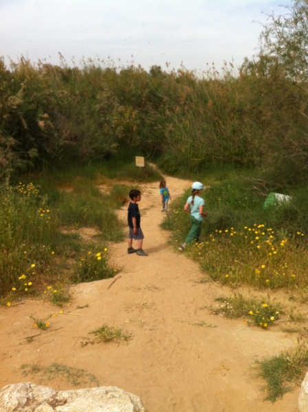 קובץ:2013.03.30-150937.196.iphone.jpg