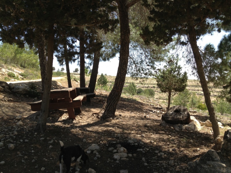 קובץ:2013.04.26-111005.524.iphone.jpg