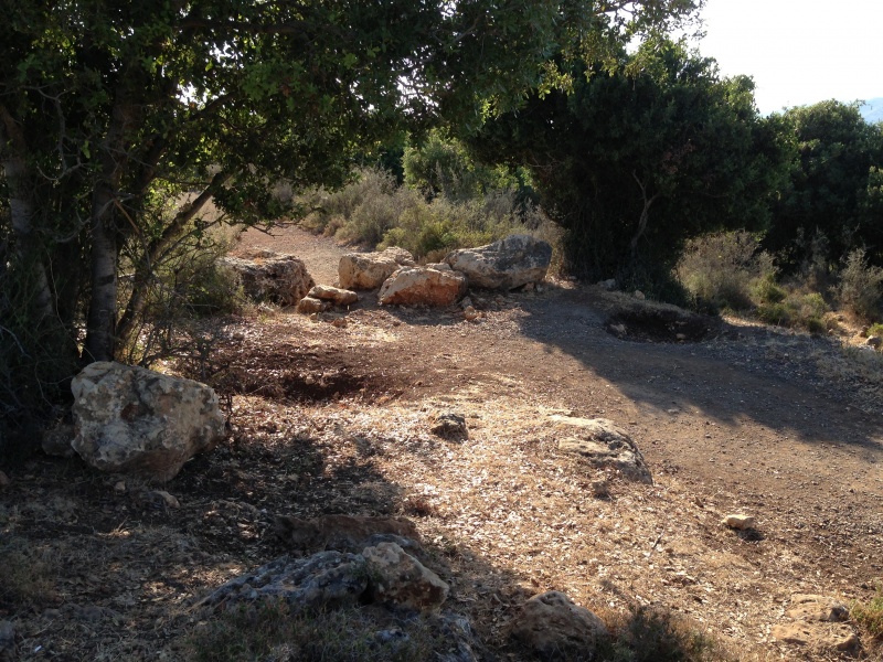 קובץ:2013.06.23-172221.767.iphone.jpg