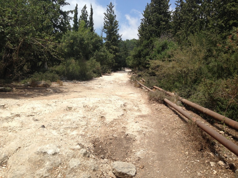 קובץ:2013.08.16-133906.411.iphone.jpg